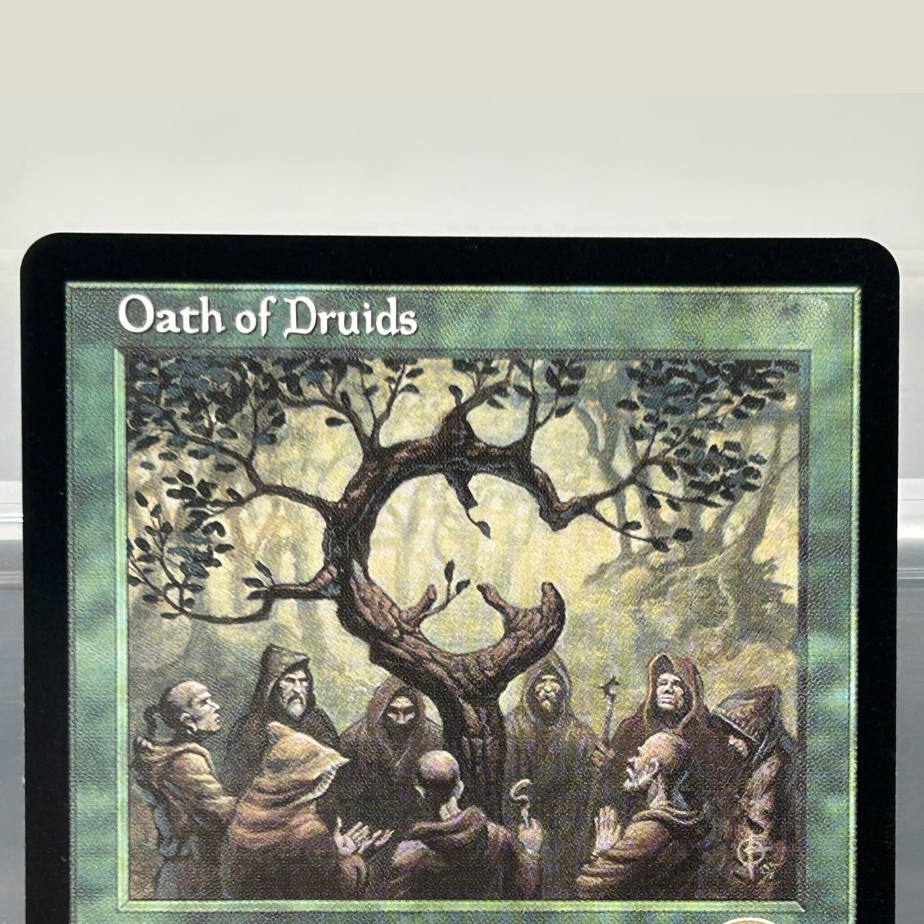 City of Traitors Oath of Druid - Board Game Oath のレビューと価格